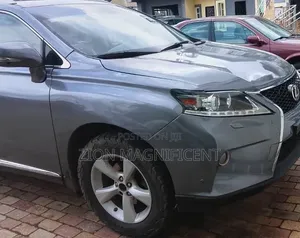 Lexus RX 2013 Brown