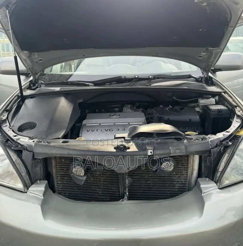Lexus RX 330 2005 Gray