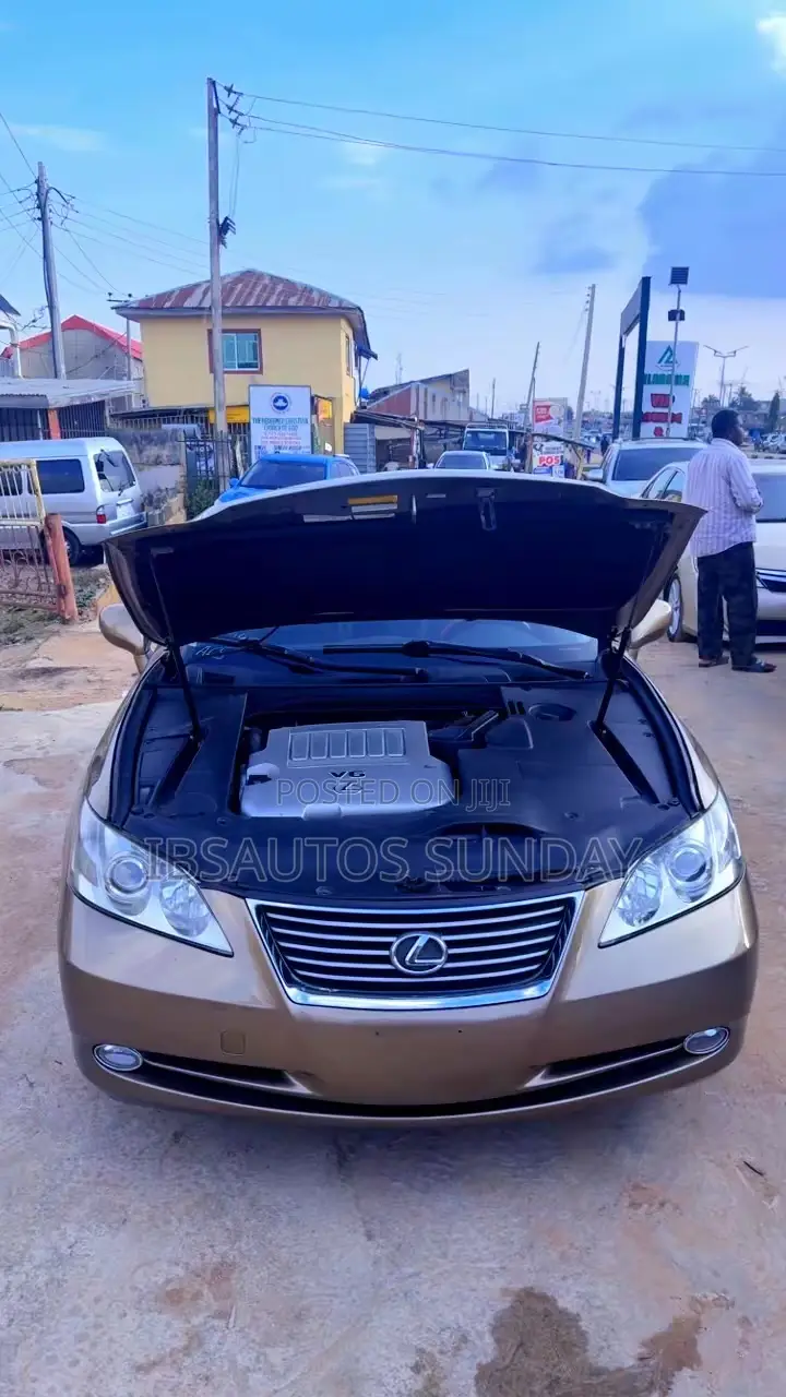 Lexus ES 350 2008 Brown