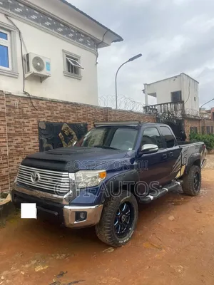 Toyota Tundra 2008 Blue