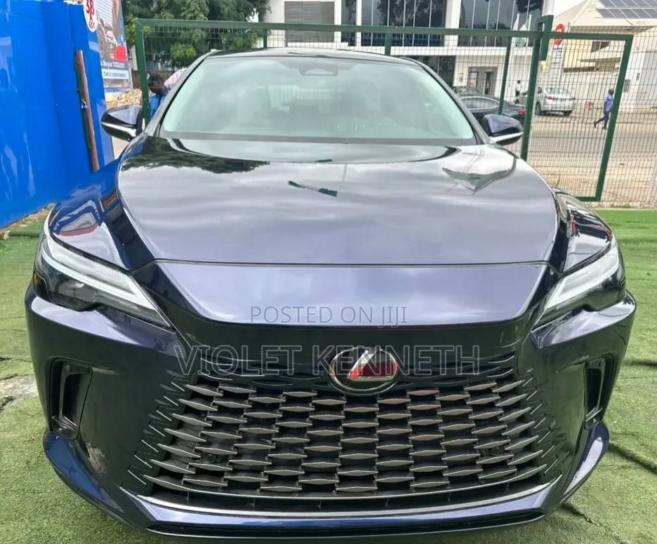 Lexus RX 2024 Blue