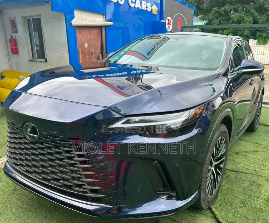Lexus RX 2024 Blue