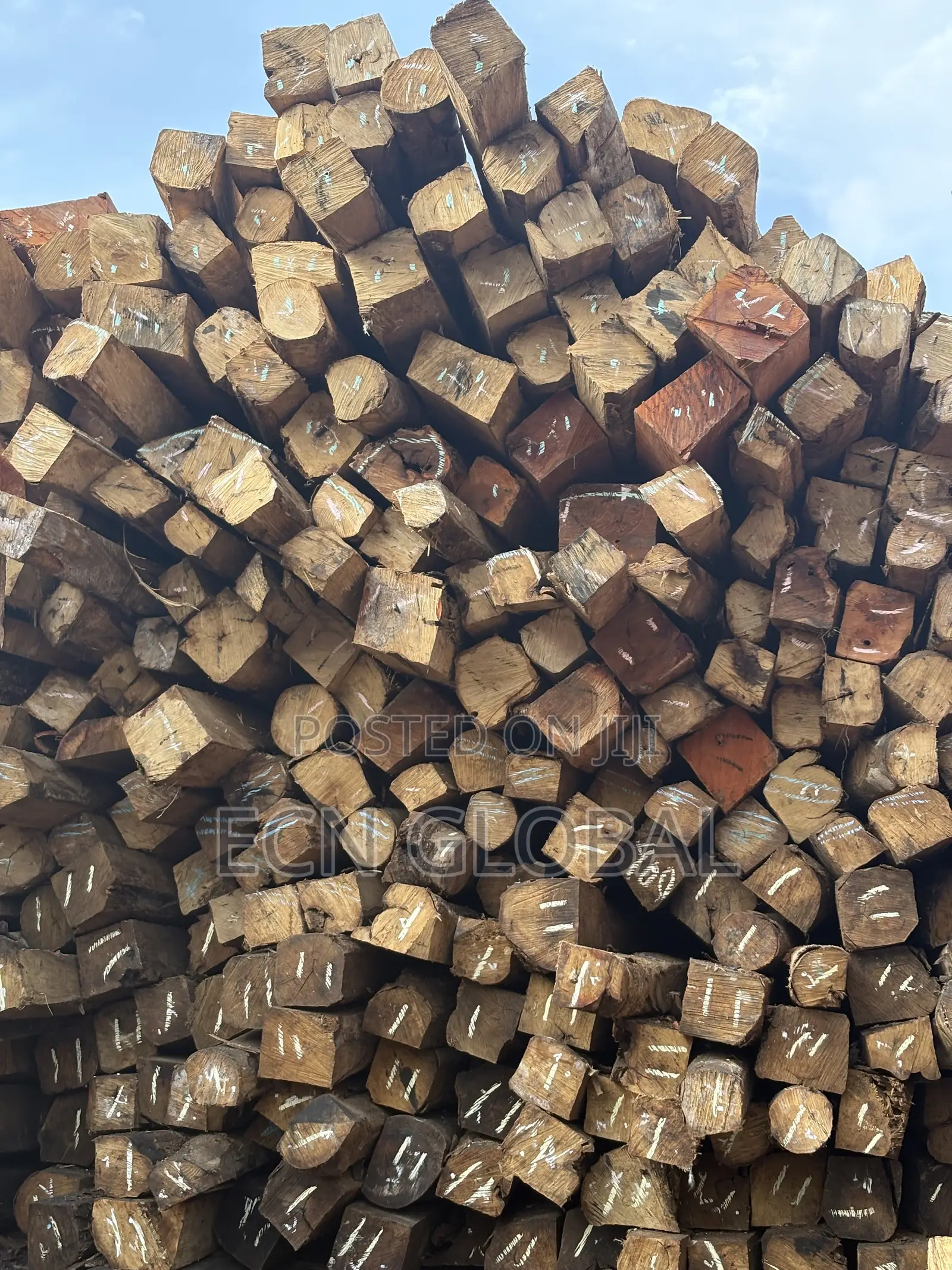 Apuktu Timber Wood