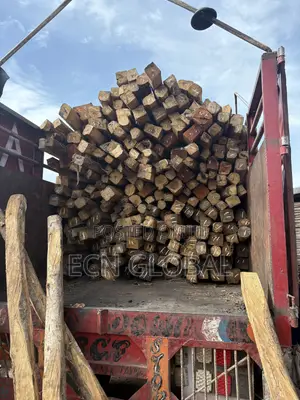 Apuktu Timber Wood