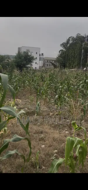 Jv Jv Land at Wuye Without Premium