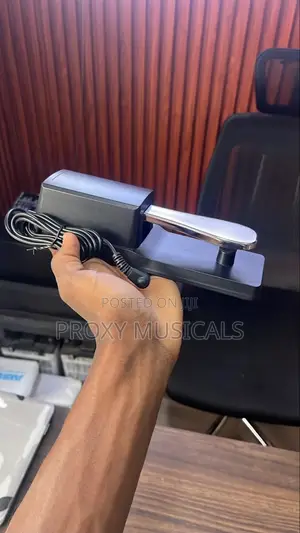 Sustain Pedal