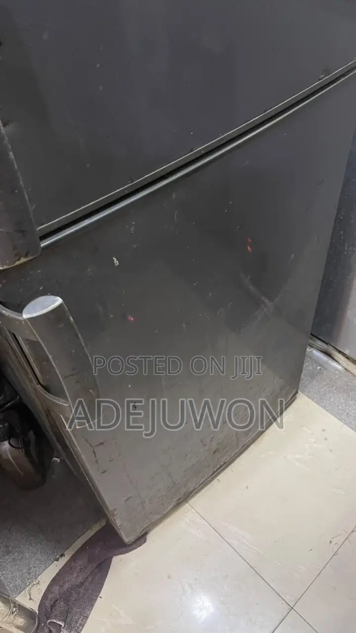 Standing Freezer