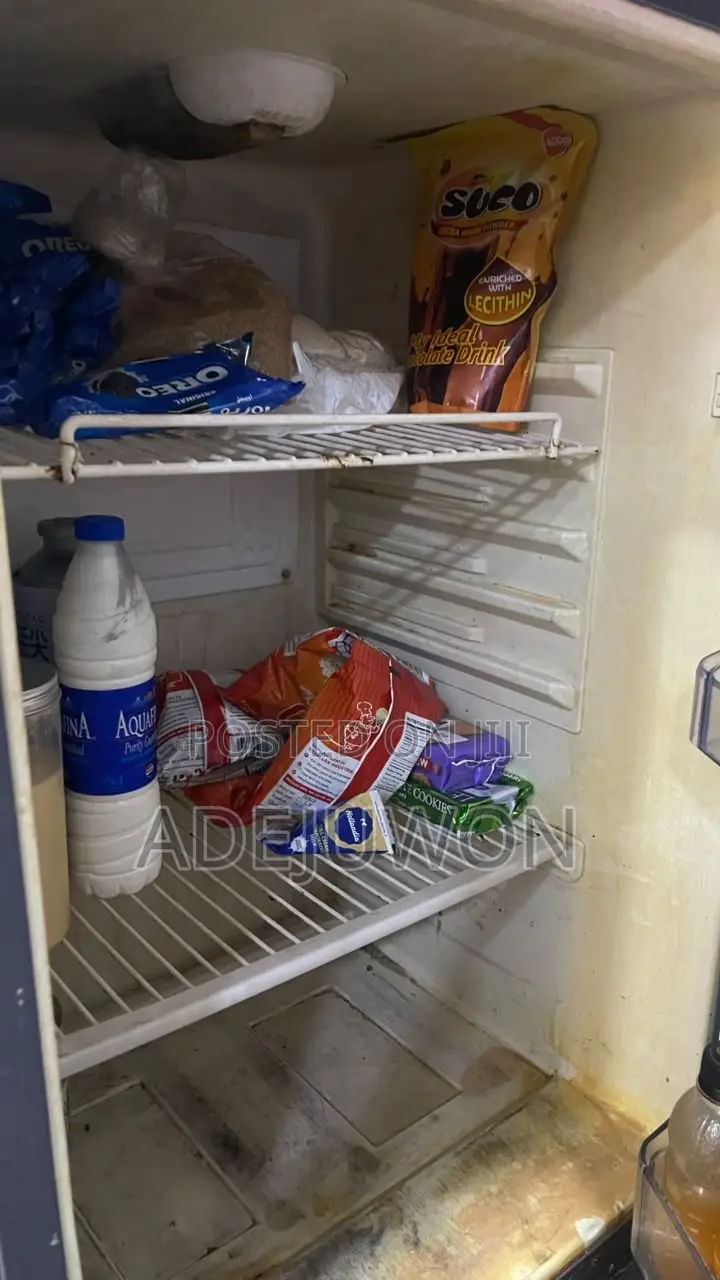 Standing Freezer