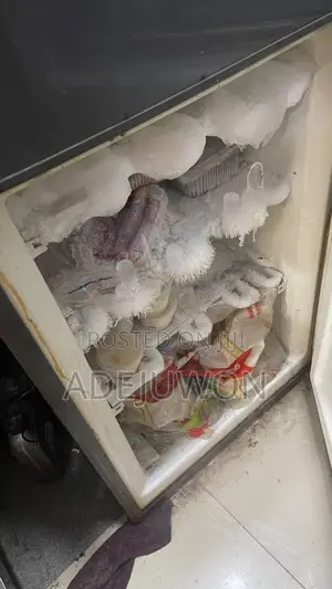 Standing Freezer
