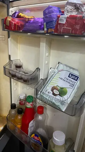 Standing Freezer