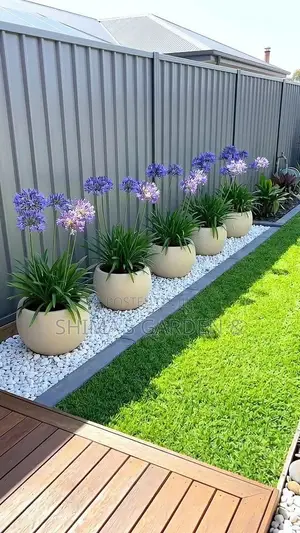 Fresh Natural Plants