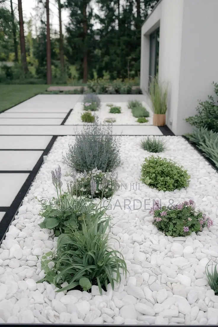 Fresh Natural Plants