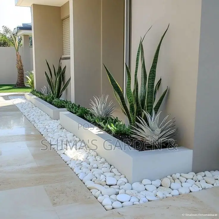Fresh Natural Plants