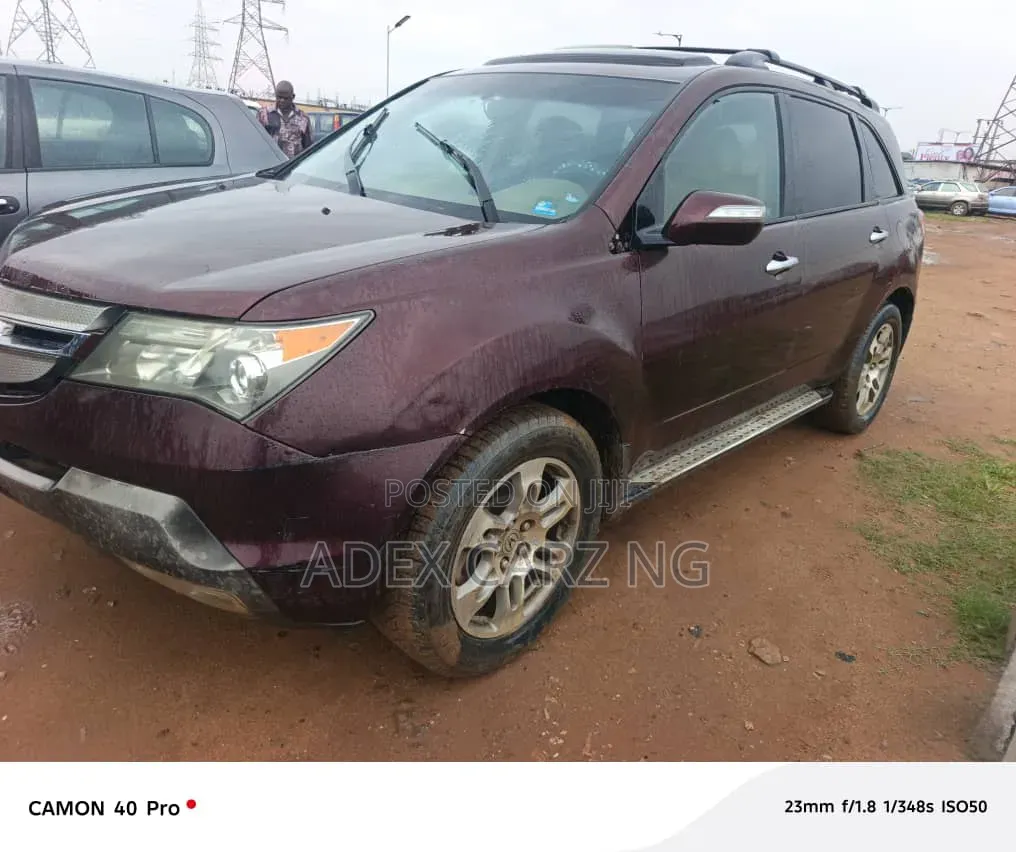 Acura MDX 2009 Beige