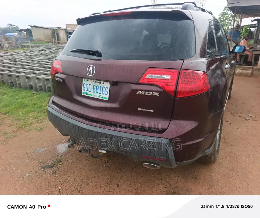 Acura MDX 2009 Beige
