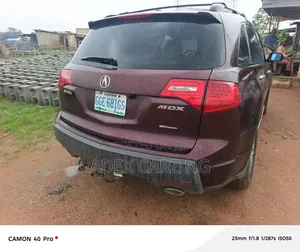 Acura MDX 2009 Beige