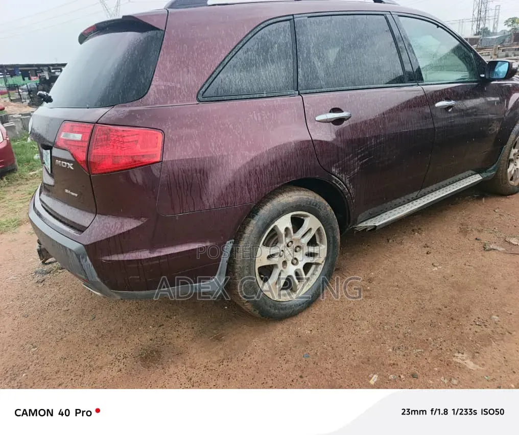 Acura MDX 2009 Beige