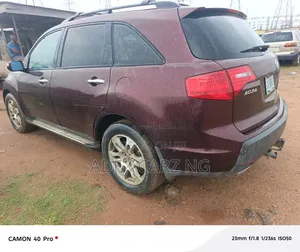 Acura MDX 2009 Beige