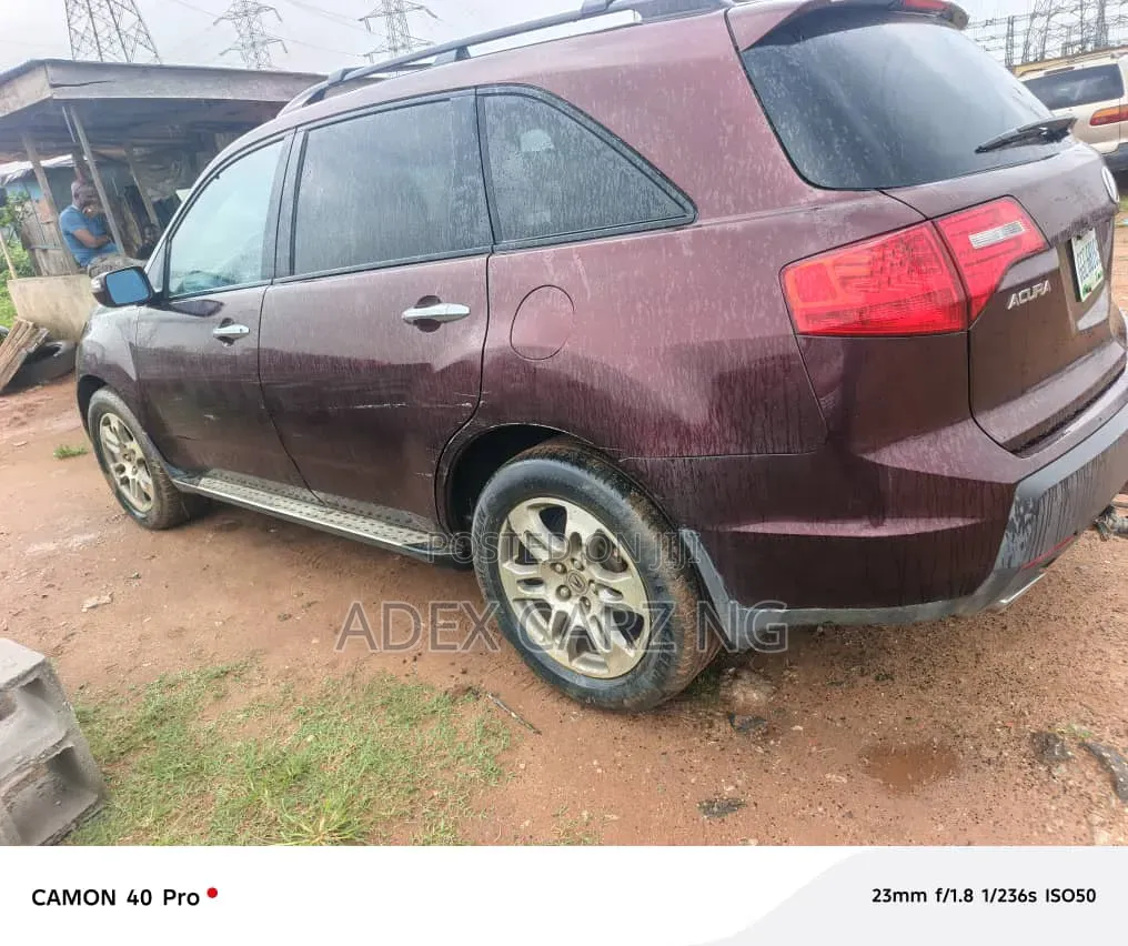 Acura MDX 2009 Beige