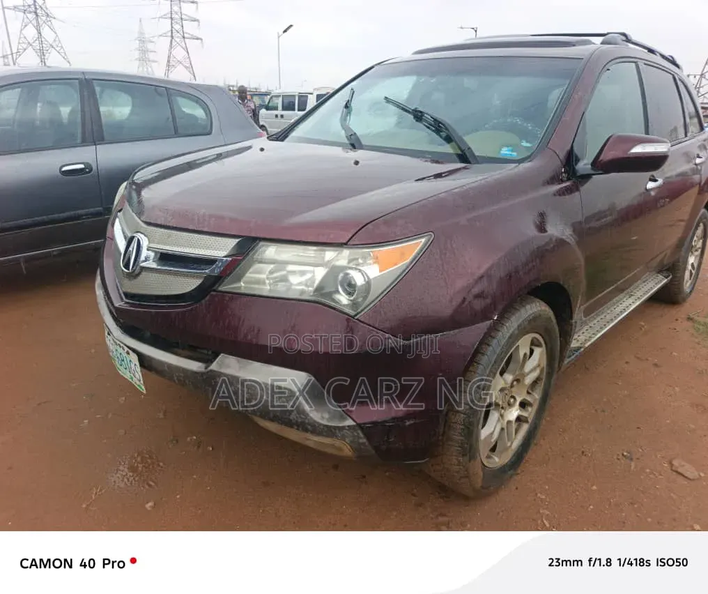 Acura MDX 2009 Beige
