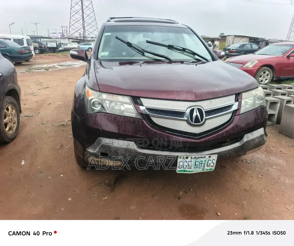 Acura MDX 2009 Beige