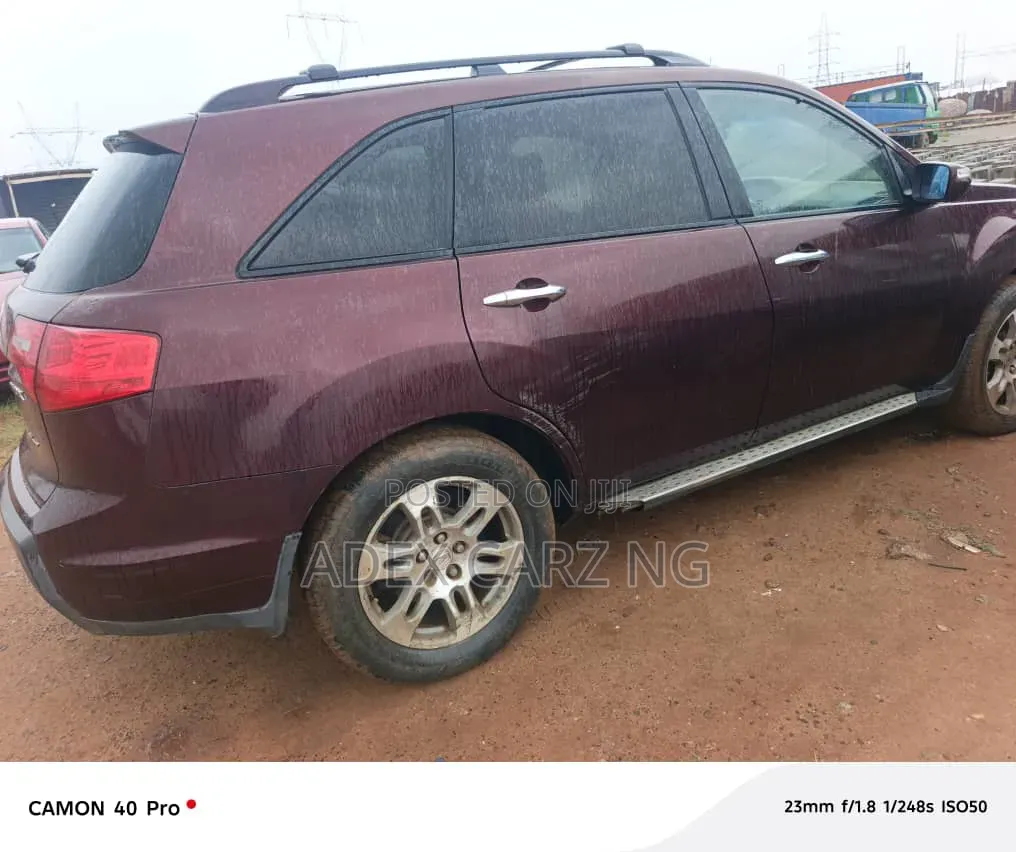 Acura MDX 2009 Beige