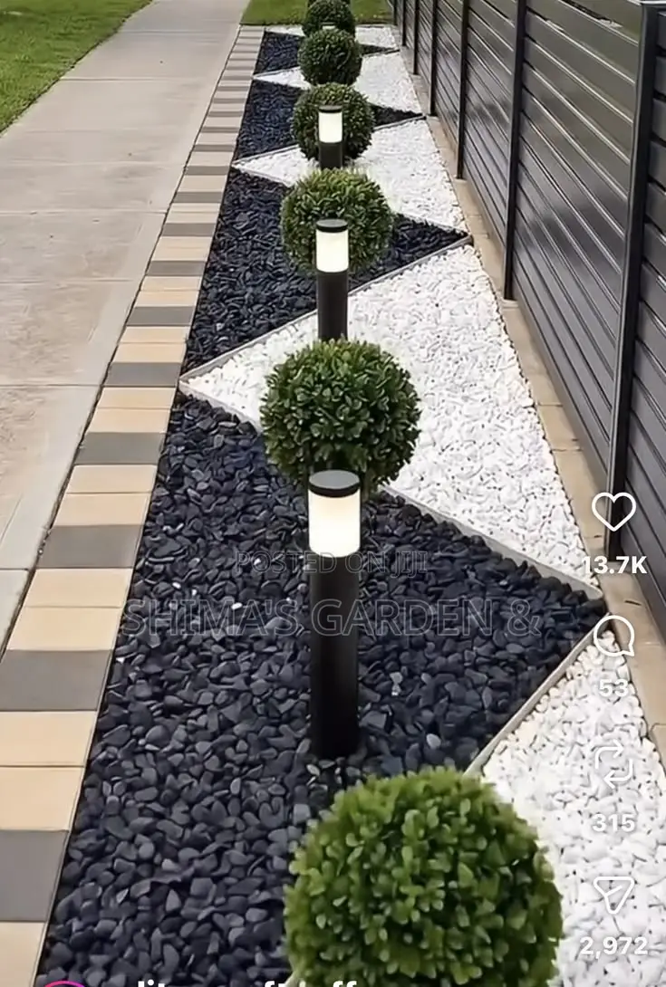 Fresh Natural Plants