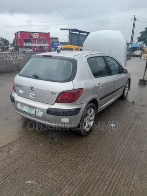 Peugeot 307 2005 Silver