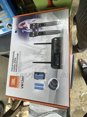 Professional Wireless Microphone
