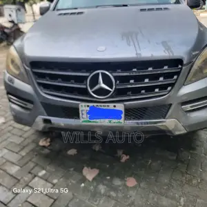 Mercedes-Benz M Class 2011 Purple
