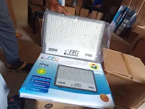 300w FFG Solar Flood Light