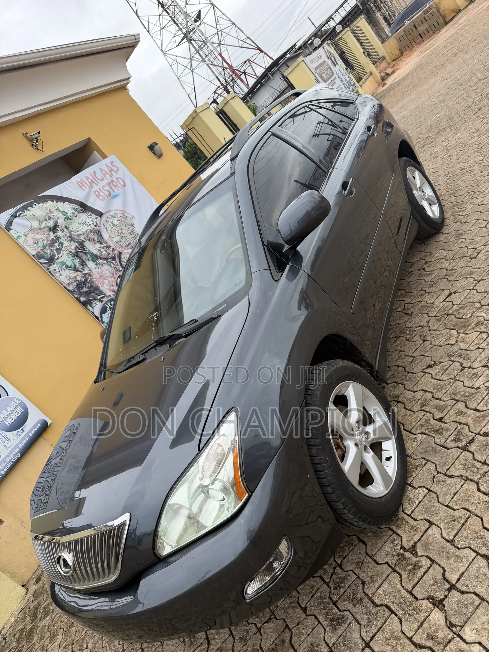 Lexus RX 330 2005 Gray