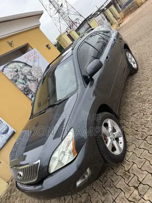 Lexus RX 330 2005 Gray