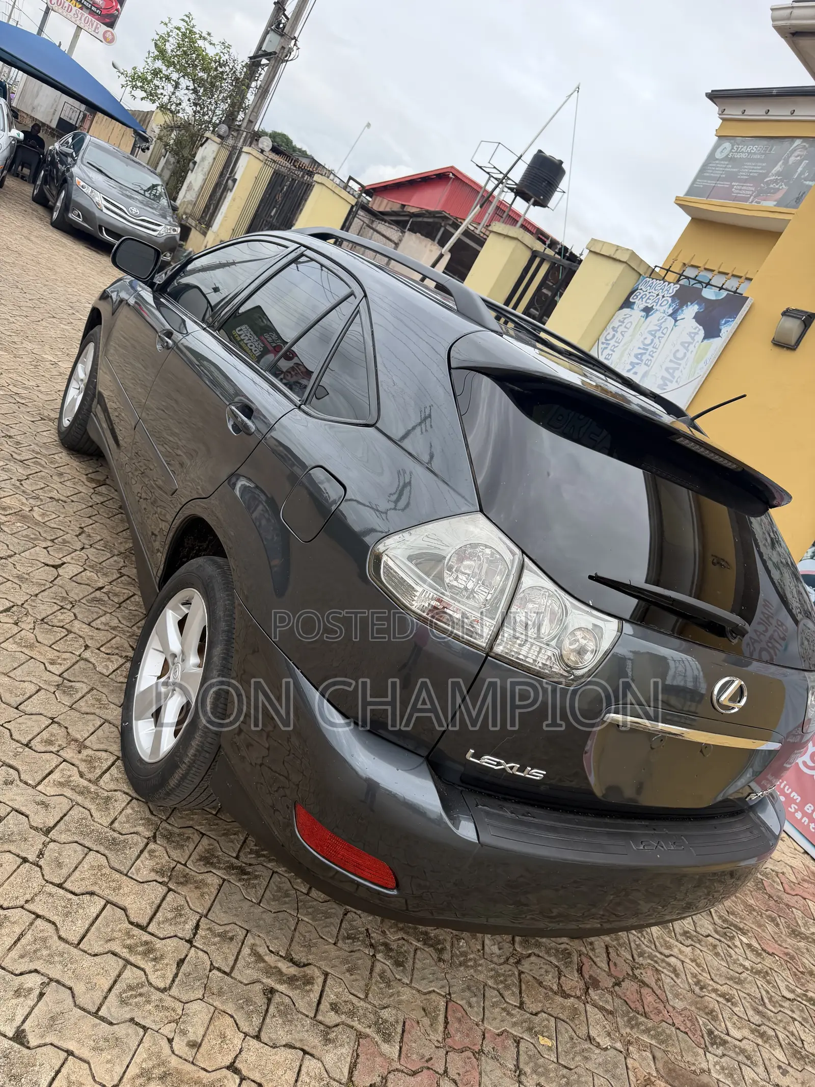 Lexus RX 330 2005 Gray