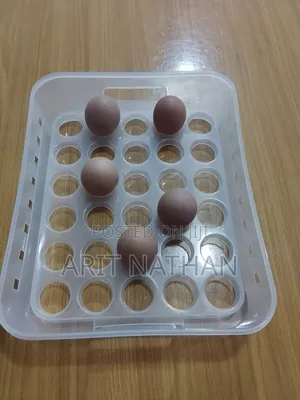 Eggrack or Crate