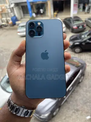 Apple iPhone 12 Pro Max 256 GB Blue