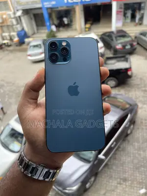 Apple iPhone 12 Pro Max 256 GB Blue