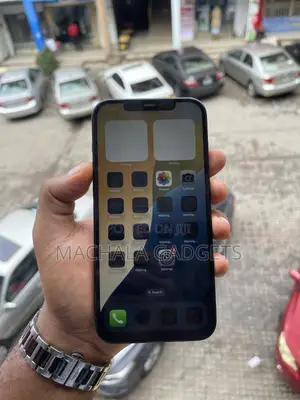 Apple iPhone 12 Pro Max 256 GB Blue