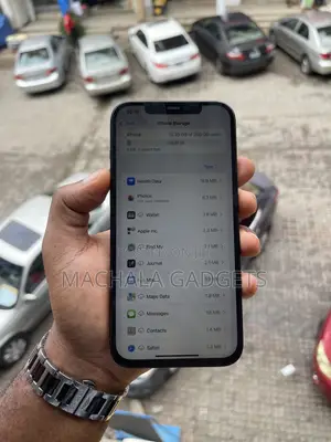 Apple iPhone 12 Pro Max 256 GB Blue