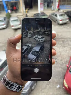 Apple iPhone 12 Pro Max 256 GB Blue