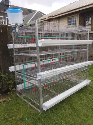 'H' Type Galvanized Broiler Battery Cage