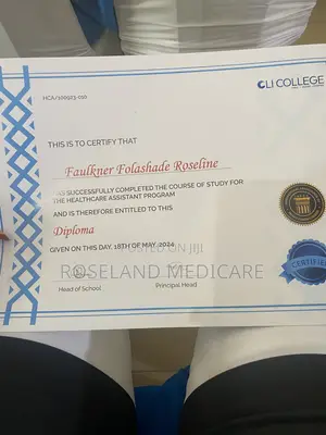Healthcare Assistance