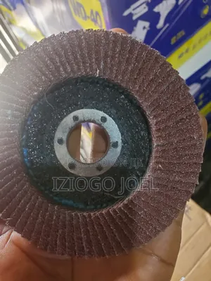 4" Flapp Dics