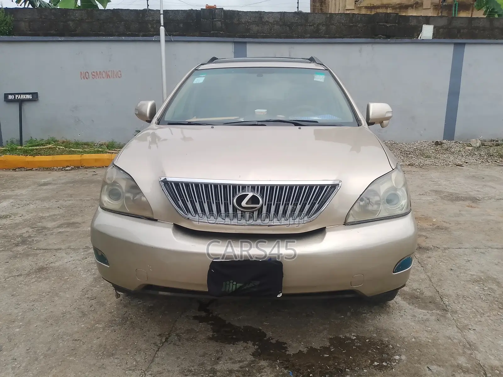 Lexus RX 2004 Gold