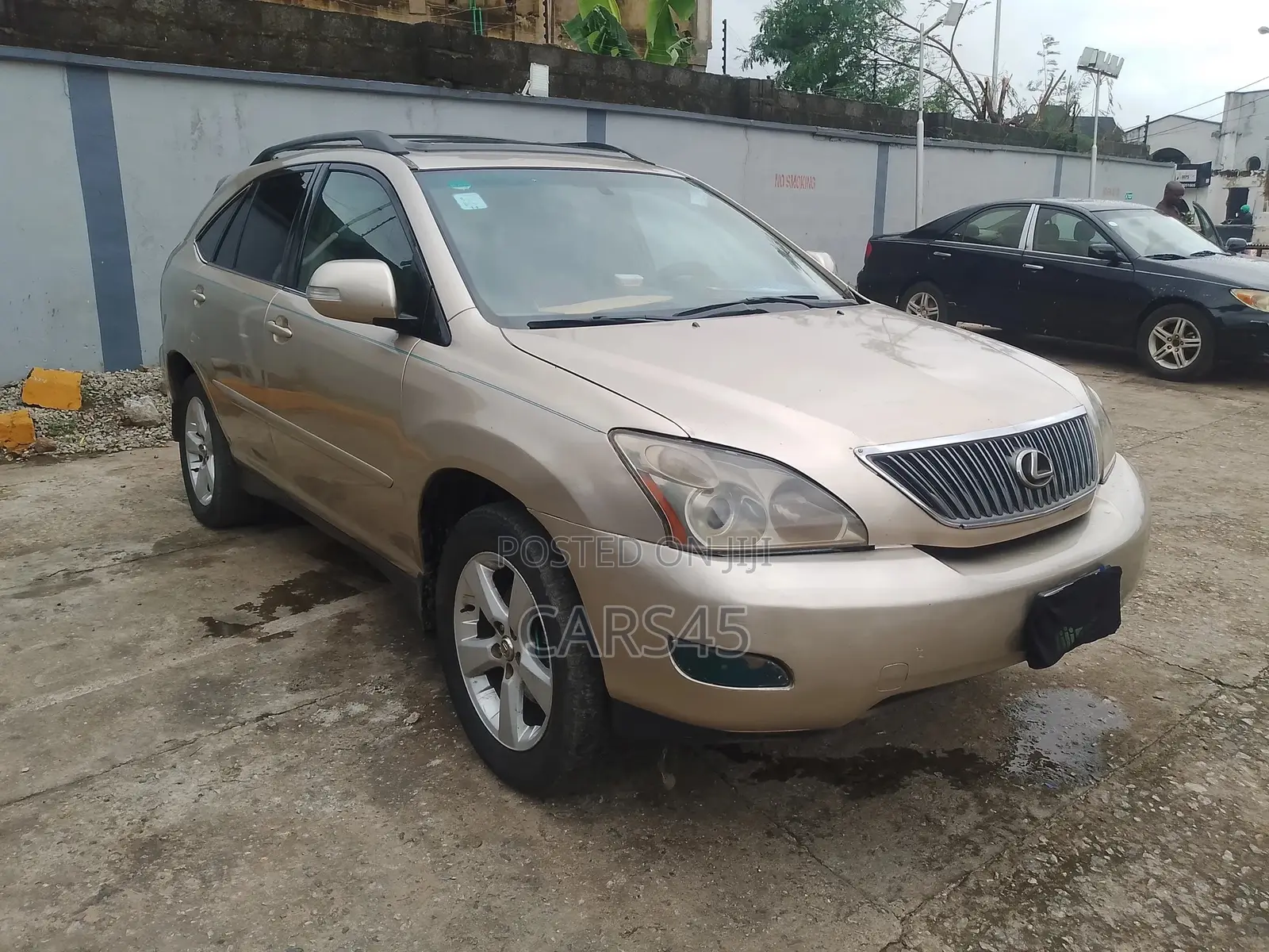Lexus RX 2004 Gold