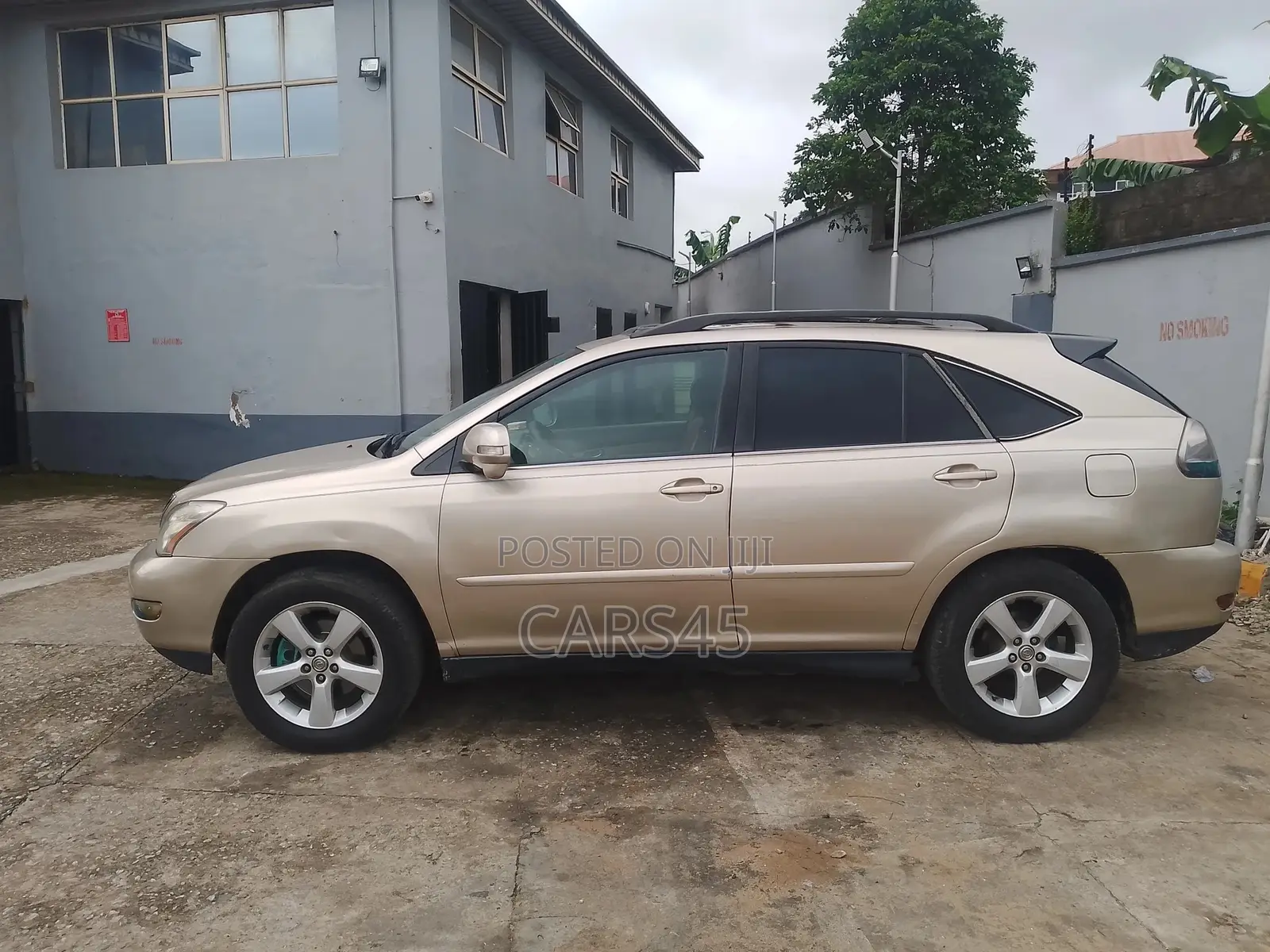 Lexus RX 2004 Gold