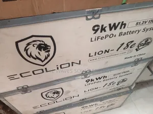 9kwh 48v Ecolion Battery Lithium