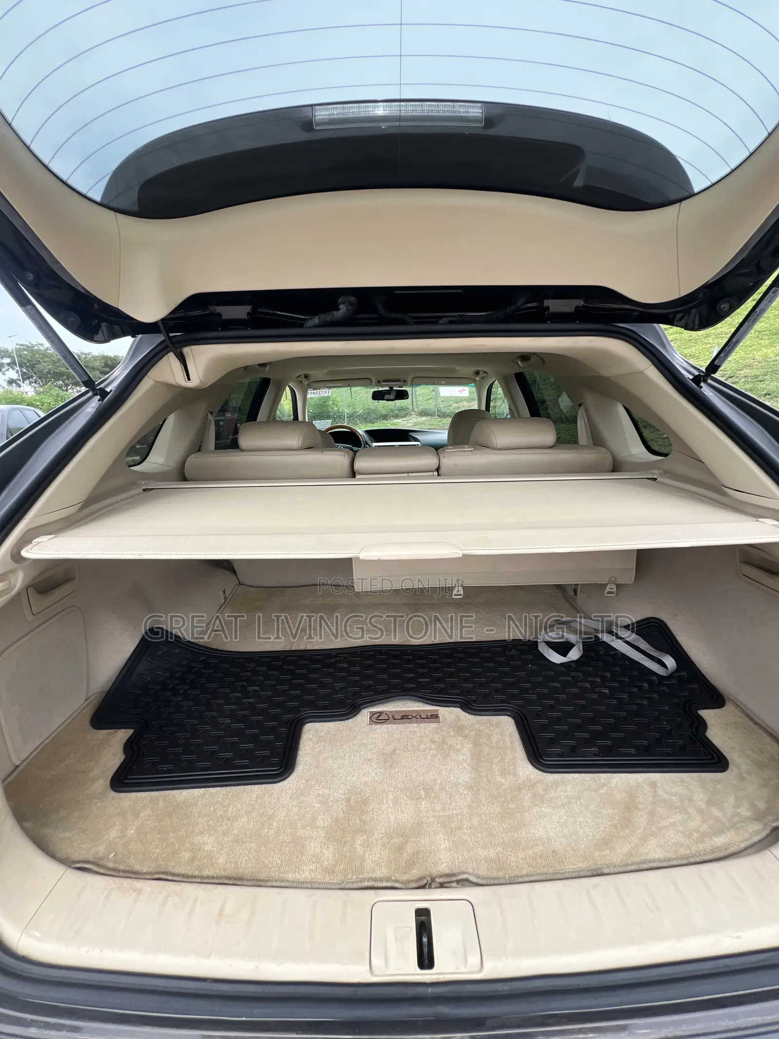 Lexus RX 350 2010 Brown