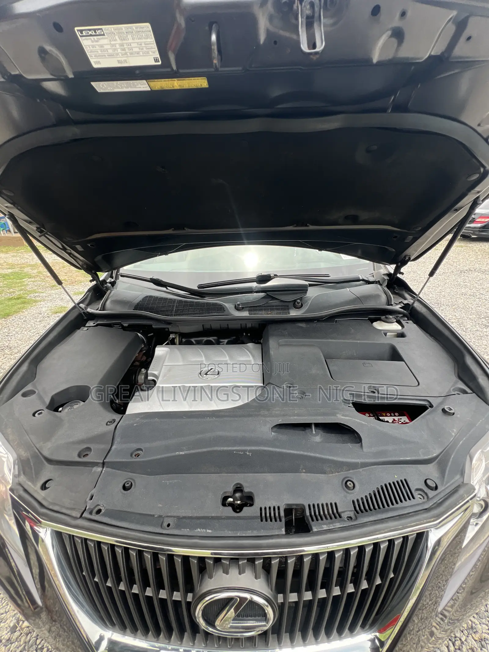 Lexus RX 350 2010 Brown