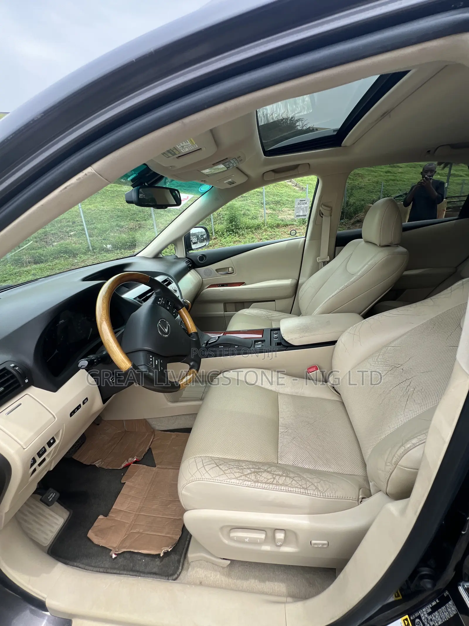 Lexus RX 350 2010 Brown